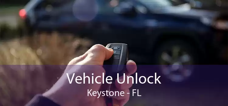 Vehicle Unlock Keystone - FL