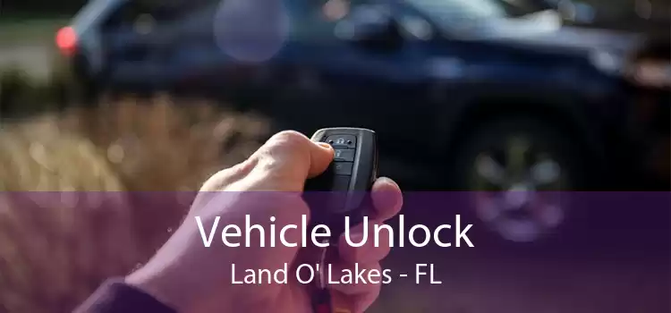 Vehicle Unlock Land O' Lakes - FL