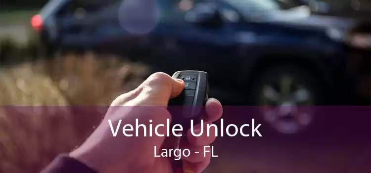 Vehicle Unlock Largo - FL