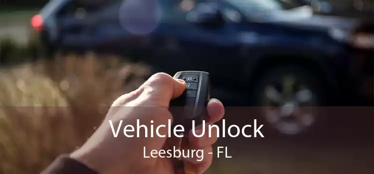Vehicle Unlock Leesburg - FL