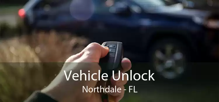 Vehicle Unlock Northdale - FL