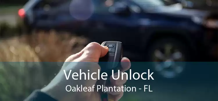 Vehicle Unlock Oakleaf Plantation - FL