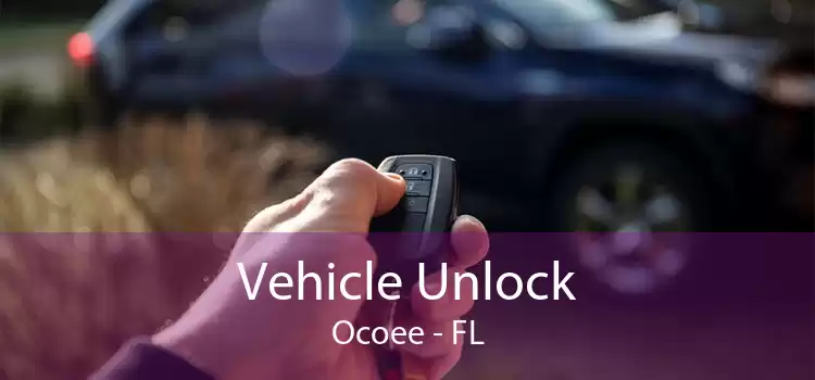 Vehicle Unlock Ocoee - FL