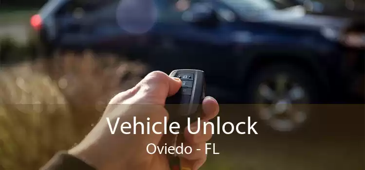 Vehicle Unlock Oviedo - FL