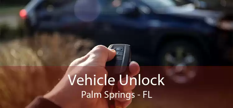 Vehicle Unlock Palm Springs - FL