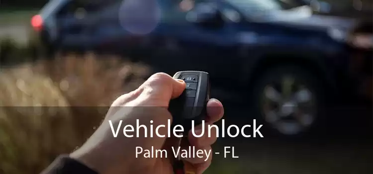 Vehicle Unlock Palm Valley - FL