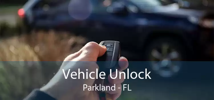 Vehicle Unlock Parkland - FL