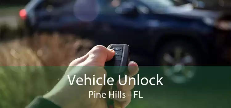 Vehicle Unlock Pine Hills - FL