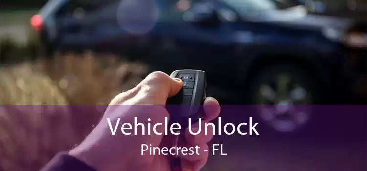 Vehicle Unlock Pinecrest - FL