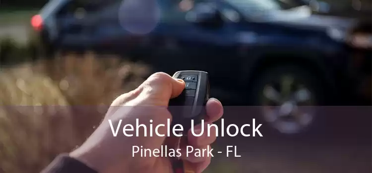 Vehicle Unlock Pinellas Park - FL