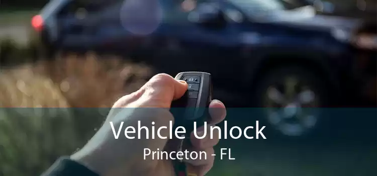 Vehicle Unlock Princeton - FL