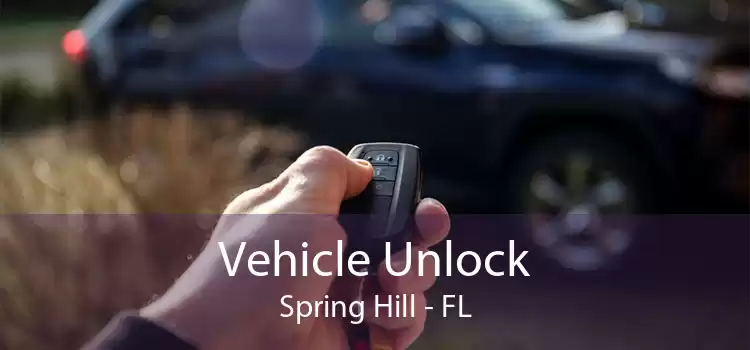 Vehicle Unlock Spring Hill - FL