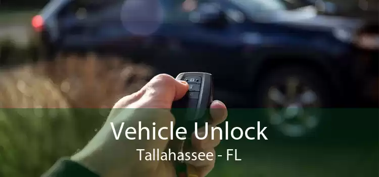 Vehicle Unlock Tallahassee - FL
