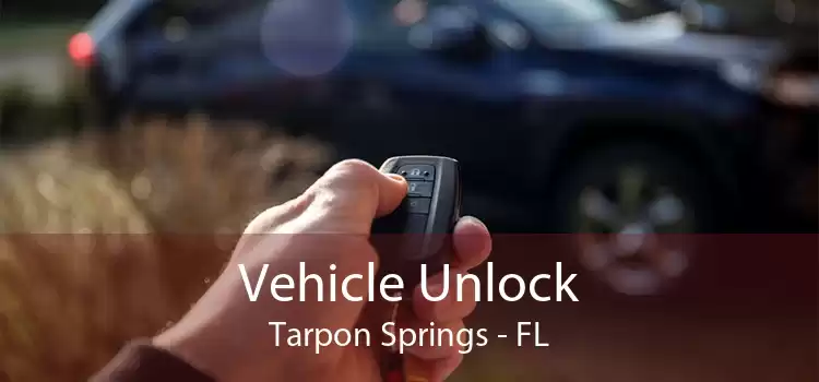 Vehicle Unlock Tarpon Springs - FL