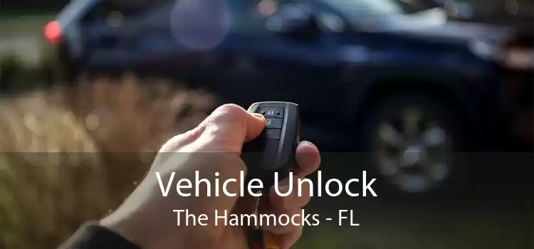 Vehicle Unlock The Hammocks - FL