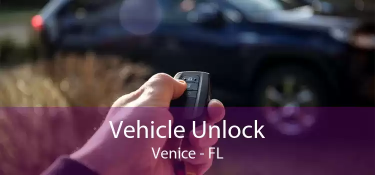 Vehicle Unlock Venice - FL
