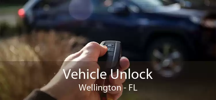 Vehicle Unlock Wellington - FL
