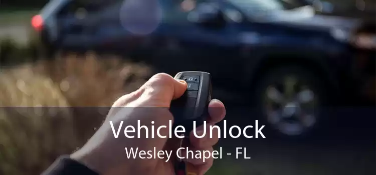 Vehicle Unlock Wesley Chapel - FL