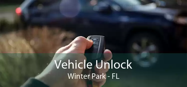 Vehicle Unlock Winter Park - FL