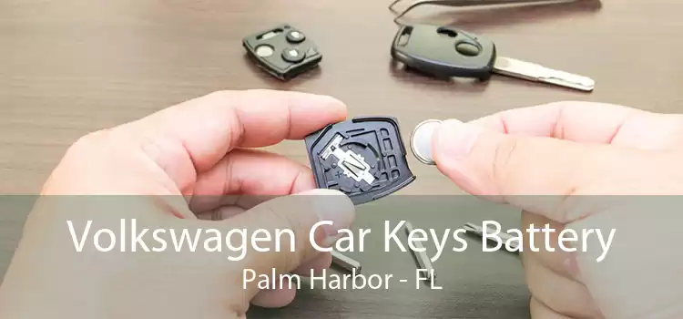Volkswagen Car Keys Battery Palm Harbor - FL