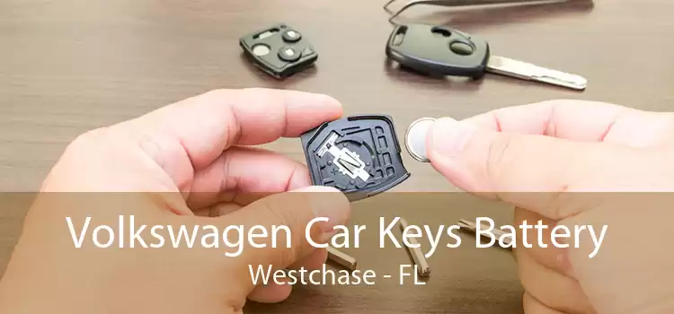 Volkswagen Car Keys Battery Westchase - FL