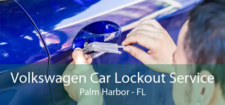Volkswagen Car Lockout Service Palm Harbor - FL