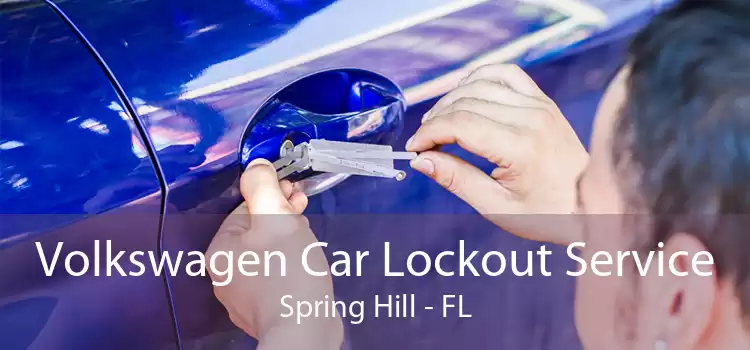 Volkswagen Car Lockout Service Spring Hill - FL