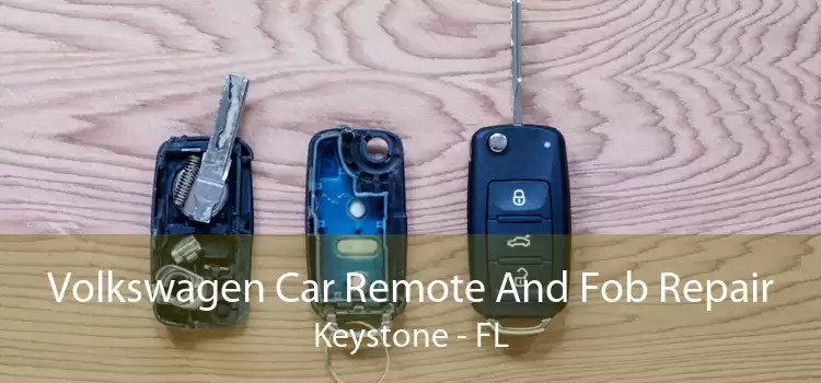 Volkswagen Car Remote And Fob Repair Keystone - FL
