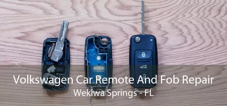 Volkswagen Car Remote And Fob Repair Wekiwa Springs - FL