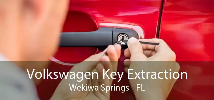 Volkswagen Key Extraction Wekiwa Springs - FL