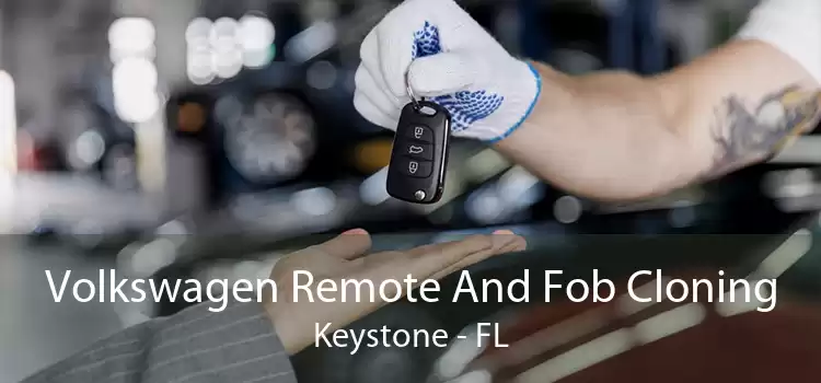 Volkswagen Remote And Fob Cloning Keystone - FL