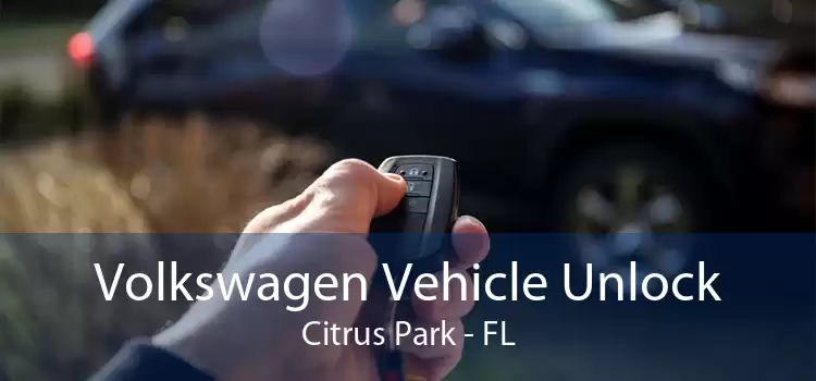 Volkswagen Vehicle Unlock Citrus Park - FL