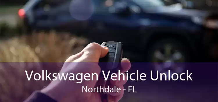 Volkswagen Vehicle Unlock Northdale - FL