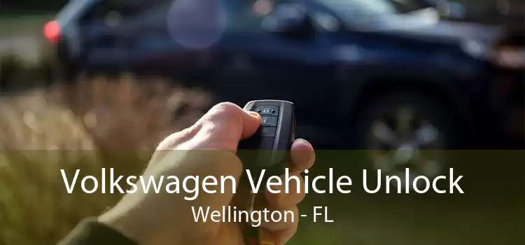 Volkswagen Vehicle Unlock Wellington - FL