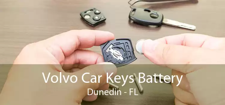 Volvo Car Keys Battery Dunedin - FL