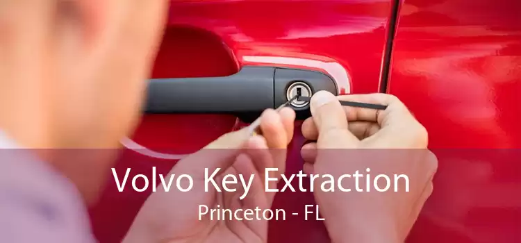 Volvo Key Extraction Princeton - FL
