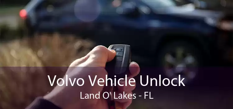Volvo Vehicle Unlock Land O' Lakes - FL