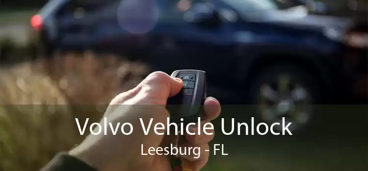 Volvo Vehicle Unlock Leesburg - FL