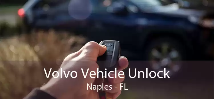 Volvo Vehicle Unlock Naples - FL