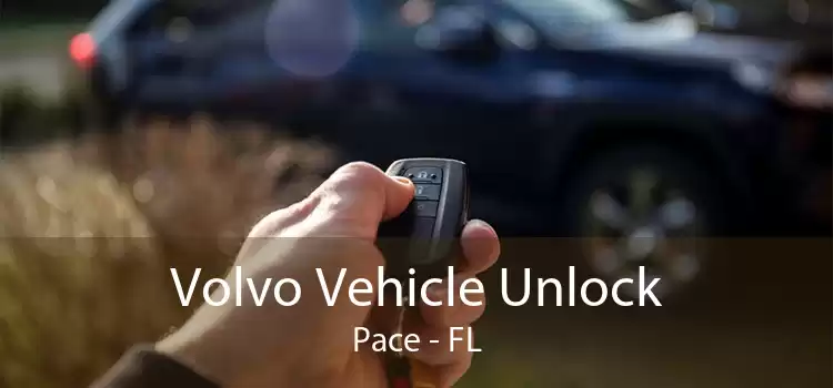 Volvo Vehicle Unlock Pace - FL