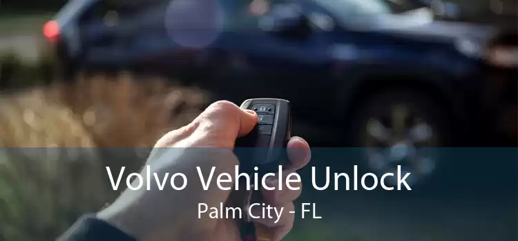 Volvo Vehicle Unlock Palm City - FL