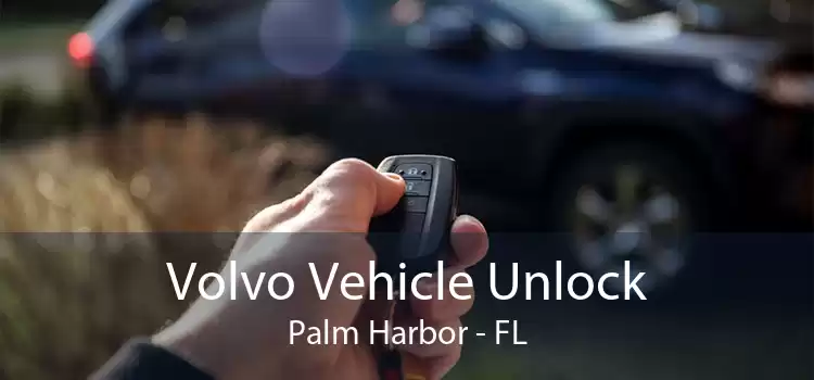 Volvo Vehicle Unlock Palm Harbor - FL