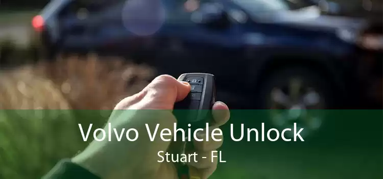 Volvo Vehicle Unlock Stuart - FL