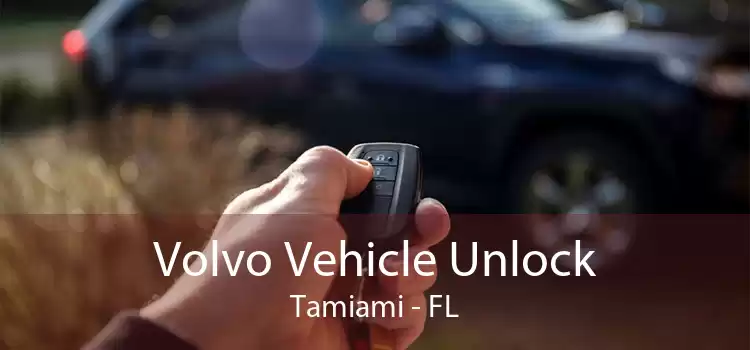 Volvo Vehicle Unlock Tamiami - FL