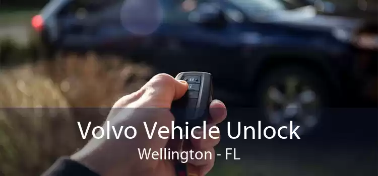 Volvo Vehicle Unlock Wellington - FL