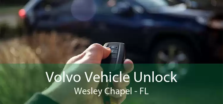 Volvo Vehicle Unlock Wesley Chapel - FL